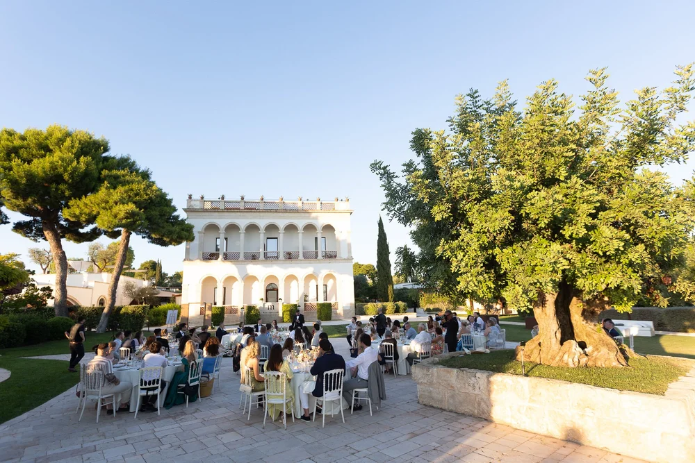 RINOCORDELLA6.webp